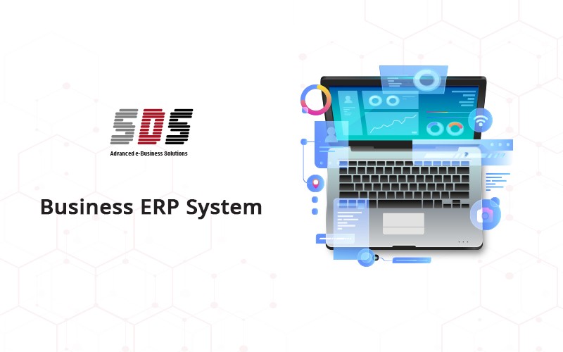 Business ERP System